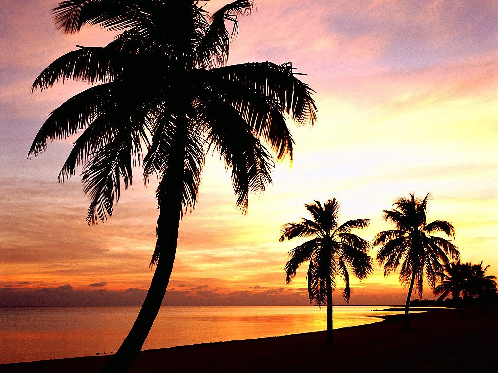 Lazy Days, Key West, Florida